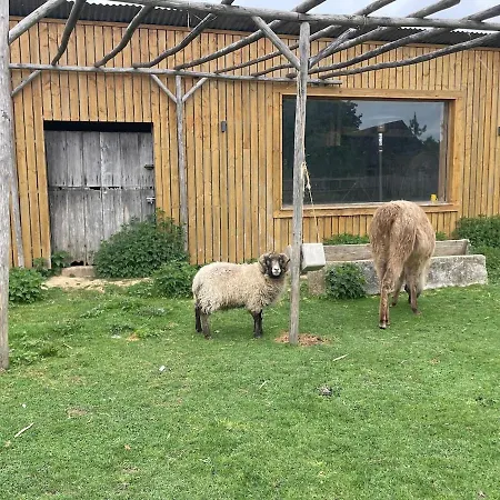 3s For 8 People Indoor-outdoor Pool, Sauna And Farm Nyaraló Berthouville